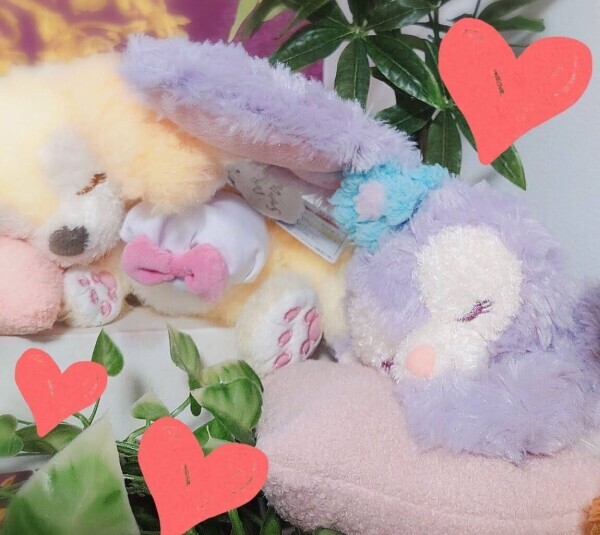 ✨🪷先日も🪷✨