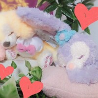 ✨🪷先日も🪷✨