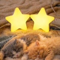 おはようございます☀️🌱