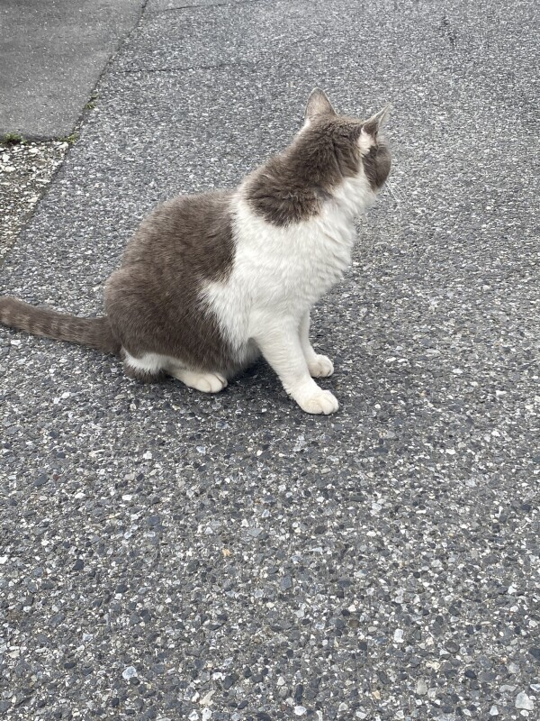 ご無沙汰してます👀