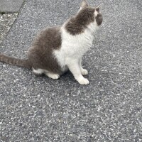 ご無沙汰してます👀