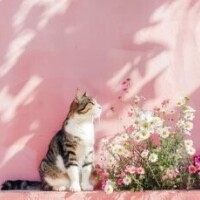 ✨おはようございます✨