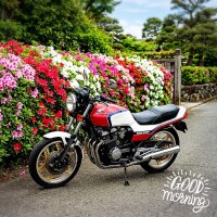 ☁️おはよう☁️