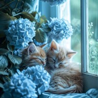 おはようございます☁️