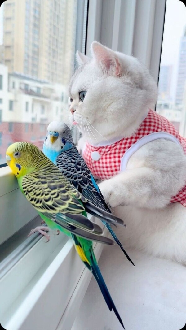 出勤してます😹