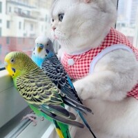 出勤してます😹