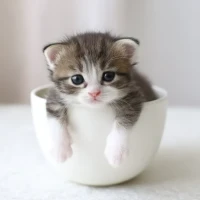 ✨おはようございます✨