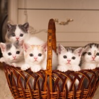 ✨出勤しました✨