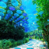 おはようございます🌥️