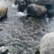 気持ちいい🌷🐝…