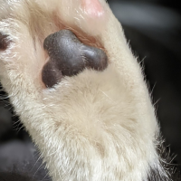 本日もありがとうございました😆