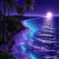 お疲れ様でした🌃