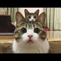 ✨おはようございます✨