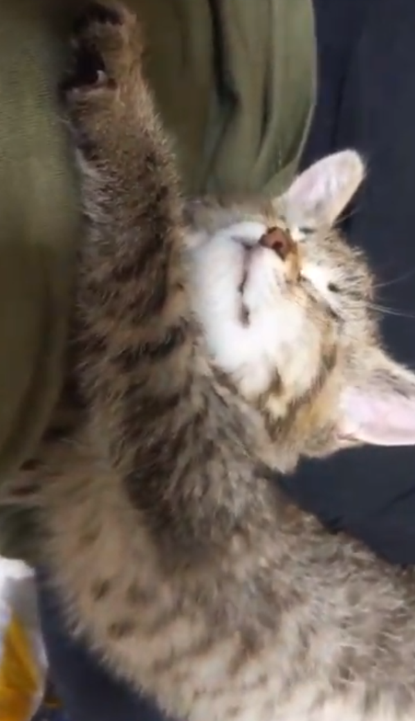 おはようございます😊