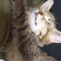 おはようございます😊