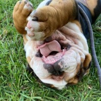 出勤しました✨