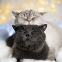 ありがとうございました🎧𓈒𓏸