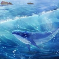 ✨おはようございます✨