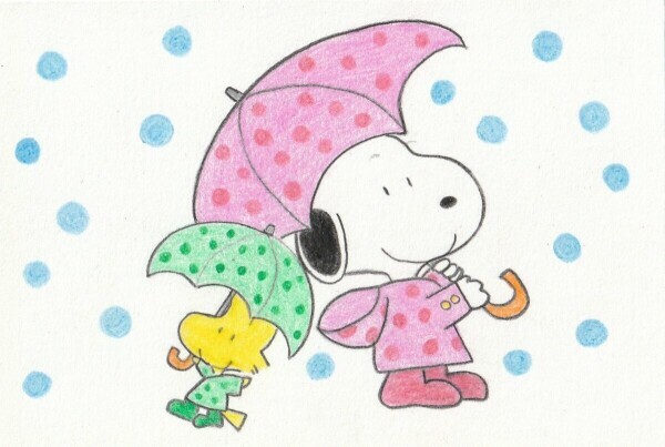☔