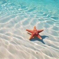 月夕方から出勤です🤗