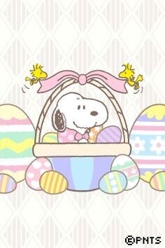🐰