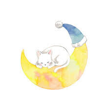 こんばんは☾