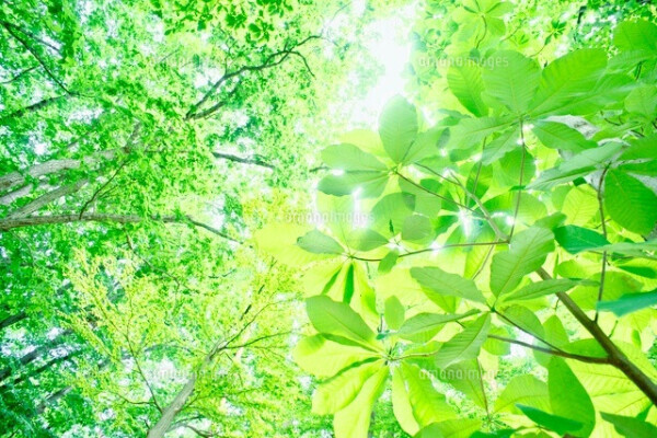 ✨出勤しました✨