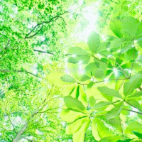 ✨出勤しました✨