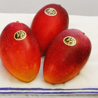 行って来ます🫡