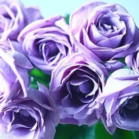 ありがとうございました✨