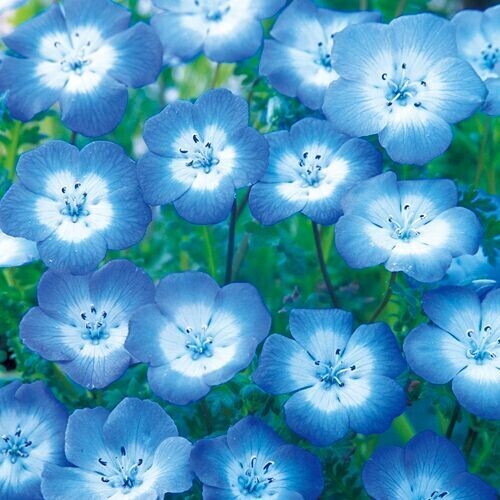 ✨おはようございます✨