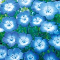 ✨おはようございます✨