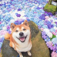 出勤しました☀