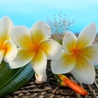 受付終了です🙏