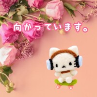 こんばんは⭐️