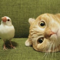 出勤しました🙇