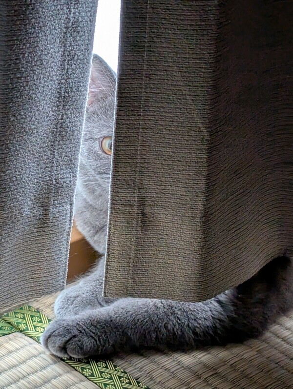 出勤です
