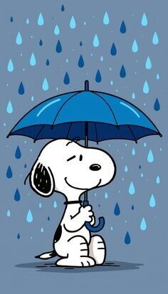 雨かぁ…