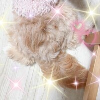 ヮン♡꙼̈