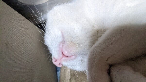ぐ〜たら😺
