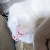 ぐ〜たら😺