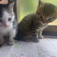 出勤しました😹