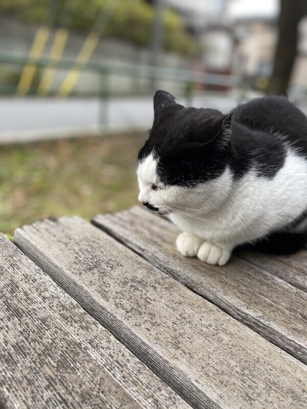 連勤2日目〜☁️