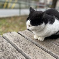連勤2日目〜☁️