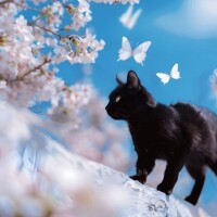 おはようございます☁️