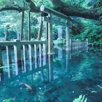 ✨おはようございます✨