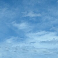 晴れましたね☀