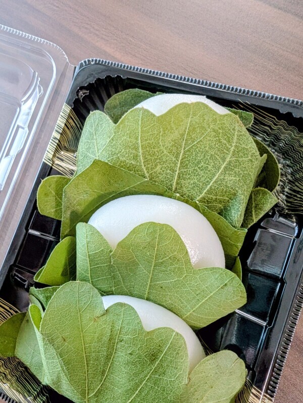 出勤です