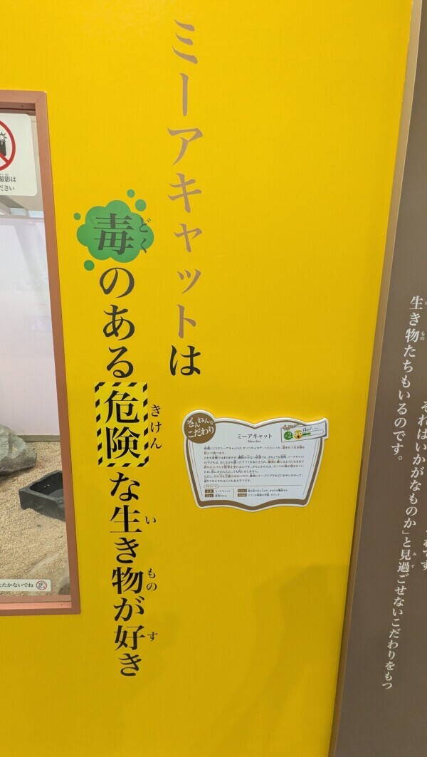 可愛い顔して
