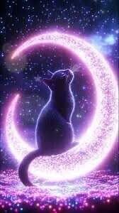 ✨今日も1日お疲れ様です✨